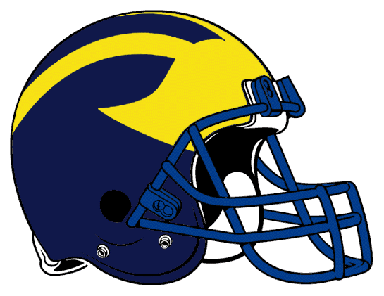 Delaware Blue Hens 1977-1983 Helmet Logo diy iron on heat transfer